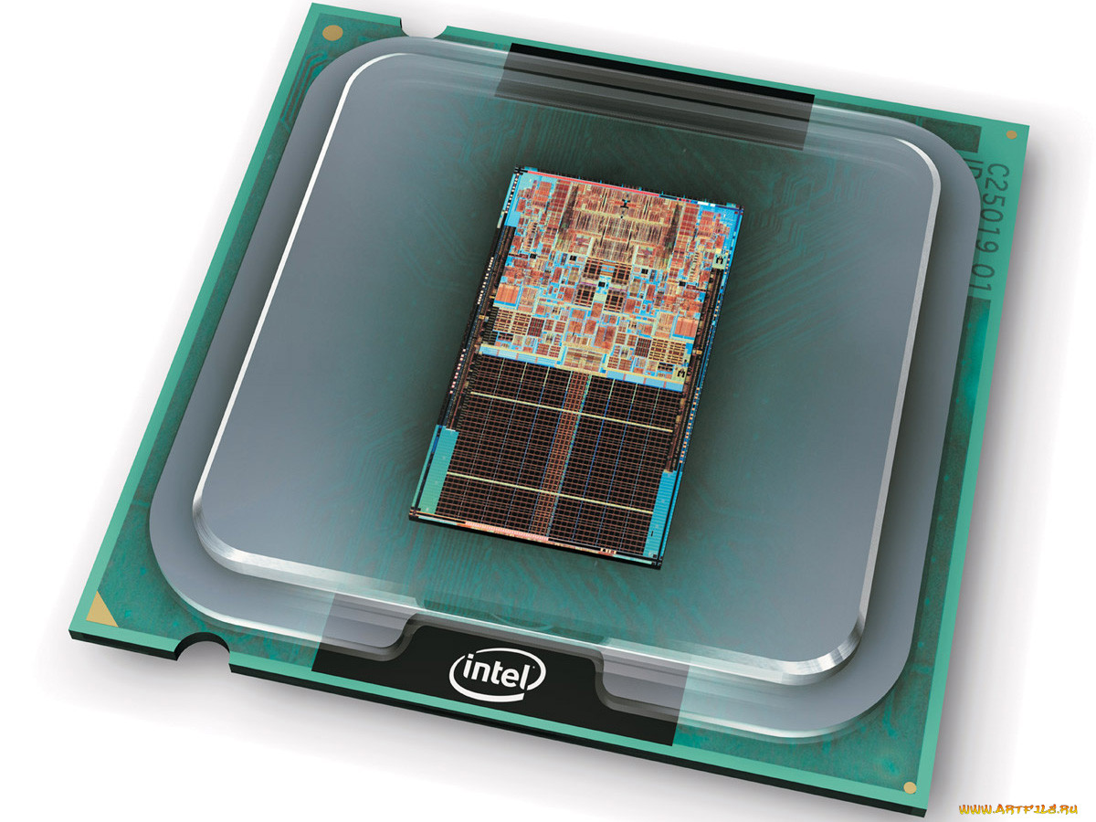 , intel